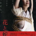 电影花与蛇,爱与救赎的交错交响