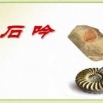 化石吟ppt,化石吟PPT概览