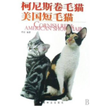 柯尼斯卷毛猫,卷曲魅力，亲昵伴侣的完美选择