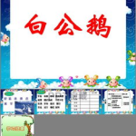 白公鹅ppt,高傲姿态与从容性格的完美融合