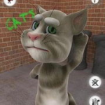 吃娱乐瓜tom猫的微博,Tom猫微博揭秘娱乐圈幕后故事