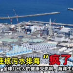 日本核污染,海洋环境安全与全球影响审视