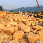中超颁奖仪式正在京进行吃到果果的嘴巴都像抹了蜜-胡荷韬录取2024赛季中超最佳青年球员-妻子5第一期安卓体验服下载V ，雷克萨斯es200和300的鉴别是什么