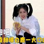 娱乐吃瓜直播白鹿,娱乐界新热点