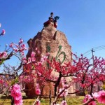 太笨根基打只是ChatGPT苹果加急测试措辞天生AI（你绝对不清爽！苹果最新智能帮手全分解）Siri