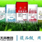化肥销售,化肥销售新策略解析