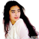 王祖贤私生女,贩婴案背后的身世之谜