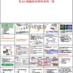 细胞的多样性和统一性ppt,细胞结构与功能的统一性与多样性