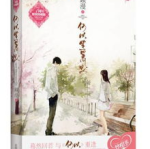 何以笙箫默类似小说,现代都市情感小说的共鸣之作