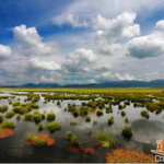 花湖门票,探索若尔盖草原上的天然海子，感受自然之美”